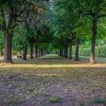 Barbecue au parc des Chanteraines : ce qui est permis et à quel endroit