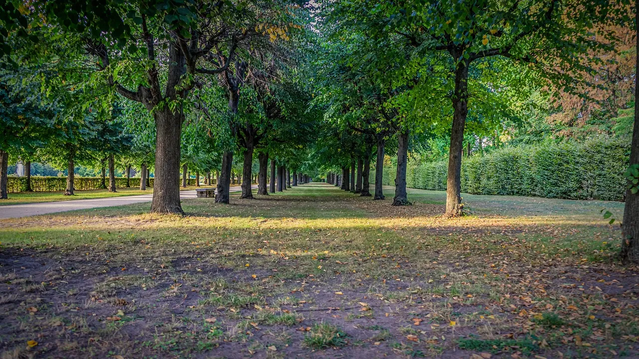 You are currently viewing Barbecue au parc des Chanteraines : ce qui est permis et à quel endroit