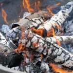 Barbecue au parc de La Courneuve : emplacements, règles et affluence