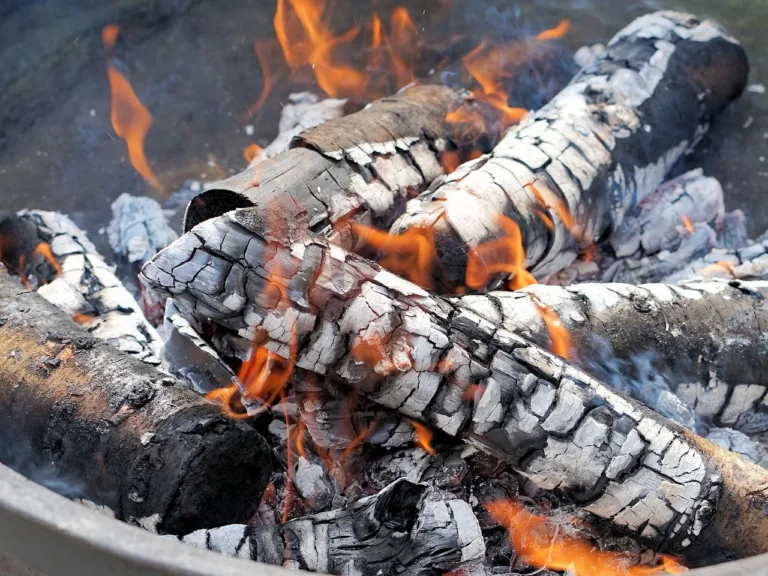 Barbecue au parc de La Courneuve : emplacements, règles et affluence