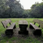 Aire de pique-nique en Île-de-France : les sites avec tables et ombre