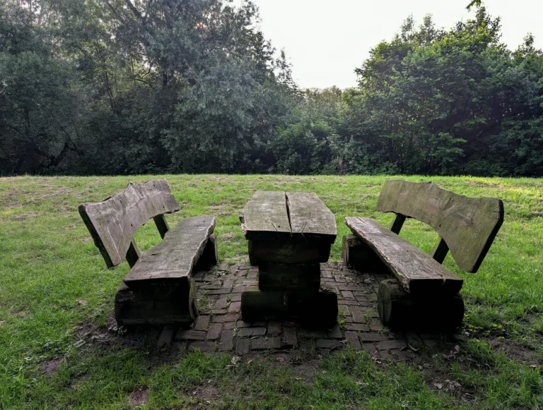 Aire de pique-nique en Île-de-France : les sites avec tables et ombre
